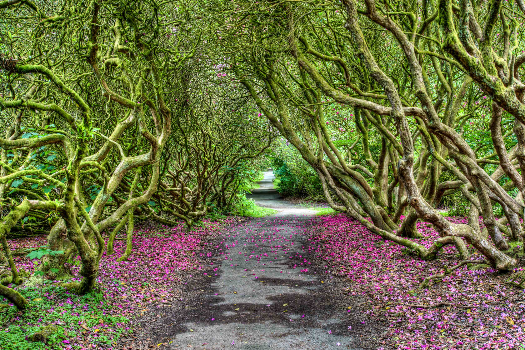 Stylised image of the 'Sleeping Giant' or Cribath hill near Craig-y-Nos Country Park