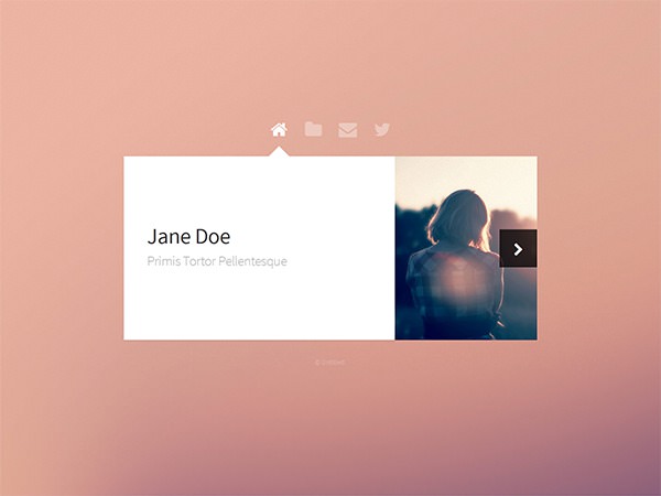 image of a website template