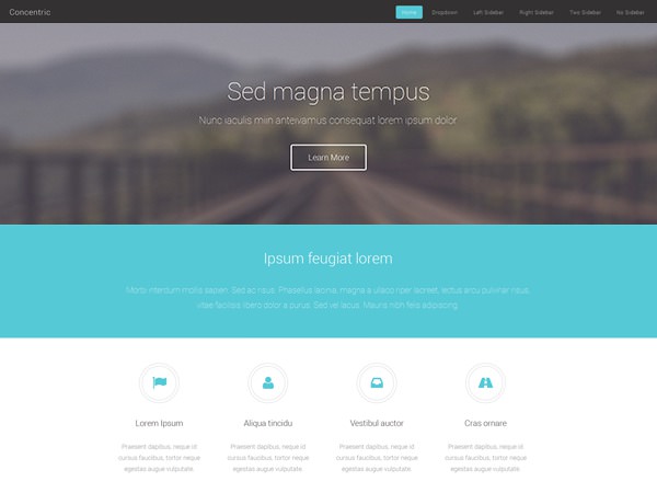 image of a website template