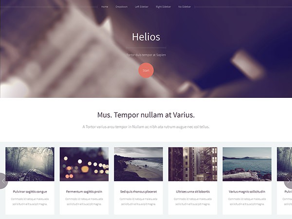 image of a website template