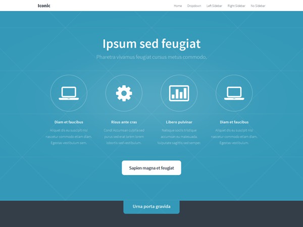 image of a website template