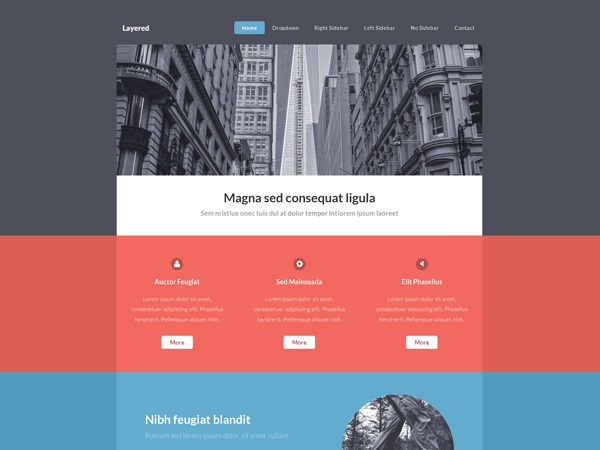 image of a website template